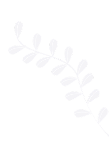 Leafs Top